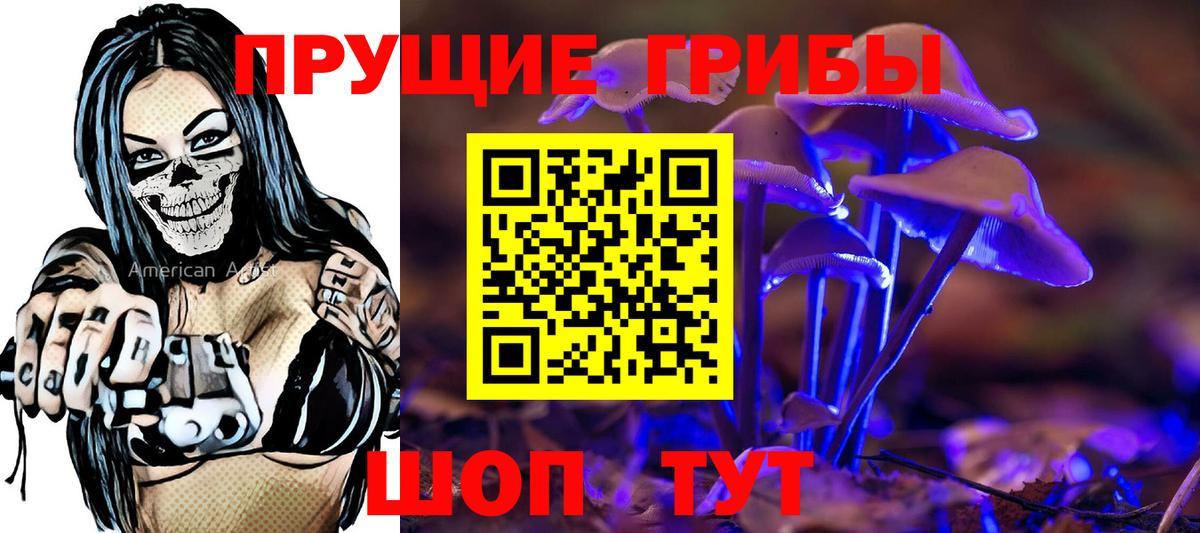 Галлюциногенные грибы Psilocybe  Вход с VPN  Щёлково  Псилоцибиновые грибы Psilocybe 